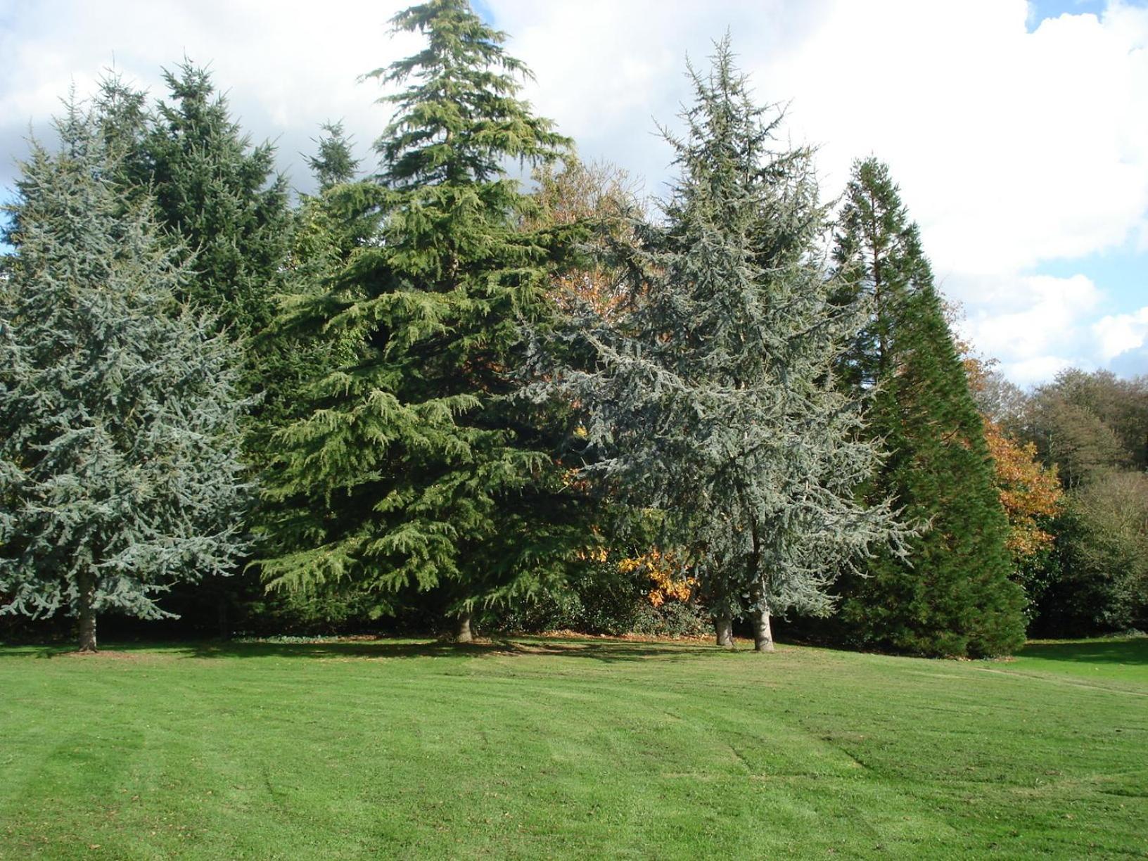 Gite de Cohignac Berric Extérieur photo